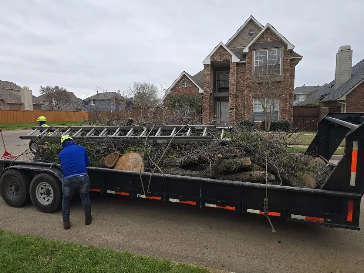 Expert Tree Fertilization with proper safety equipment in Waterville